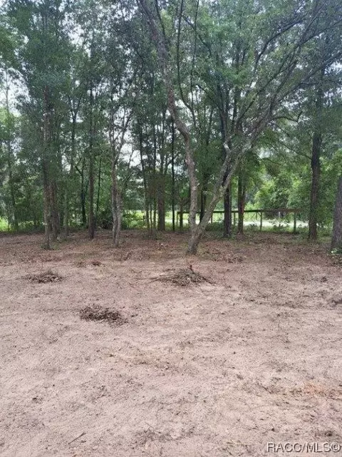 tbd NE 131 Ave, Williston, FL 32696 photo 8