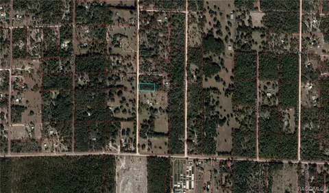 tbd NE 131 Ave, Williston, FL 32696 photo 2