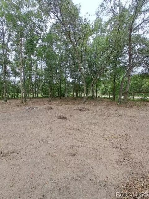 tbd NE 131 Ave, Williston, FL 32696 photo 9