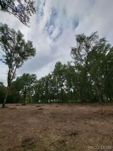 tbd NE 131 Ave, Williston, FL 32696 photo 6