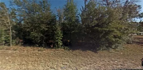 tbd NE 131 Ave, Williston, FL 32696 photo 4