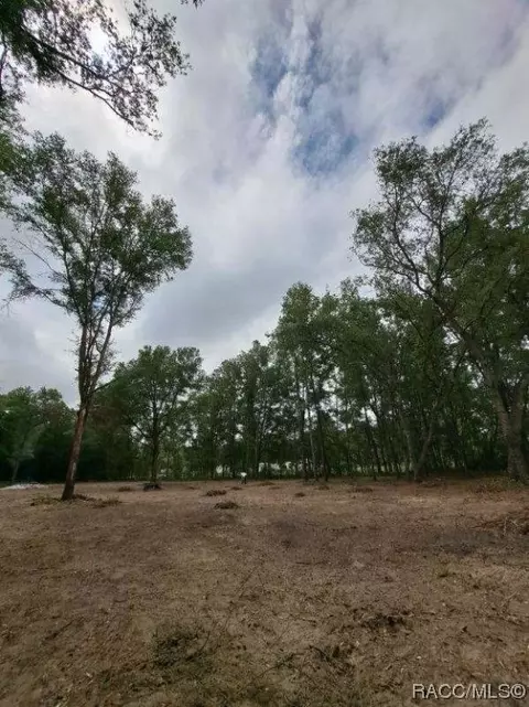 tbd NE 131 Ave, Williston, FL 32696 photo 5