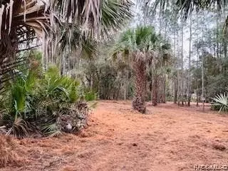 15 East Cason Boulevard, Inglis, FL 34449