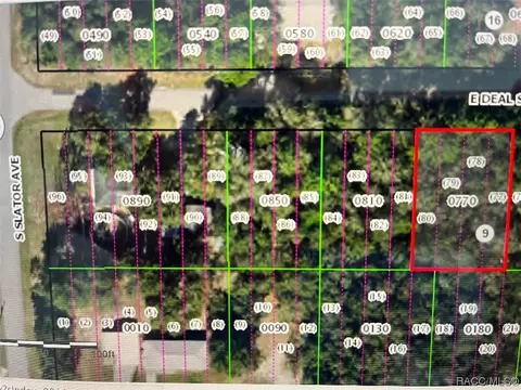 3244 E Deal St, Inverness, FL 34453