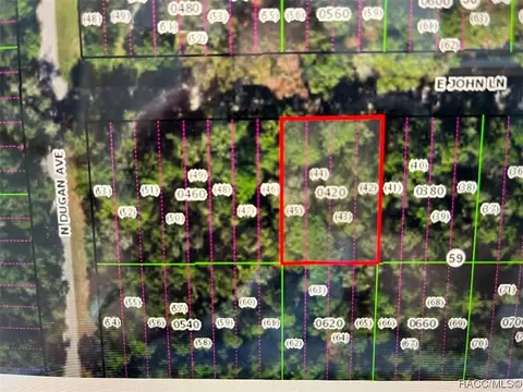 3118 E John Ln, Inverness, FL 34453