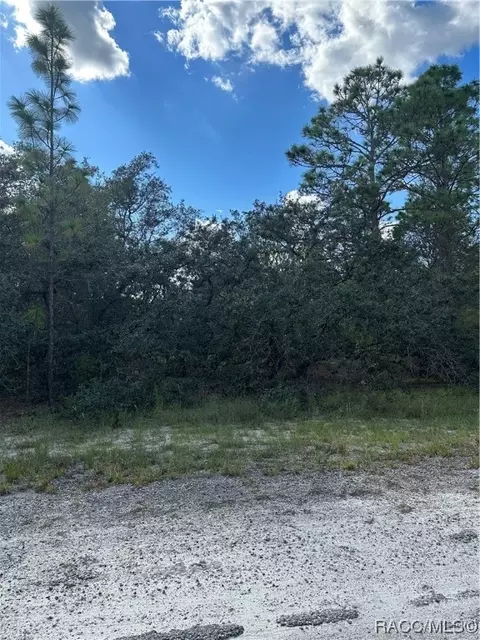 6570 Matheson Dr N, Citrus Springs, FL 34434
