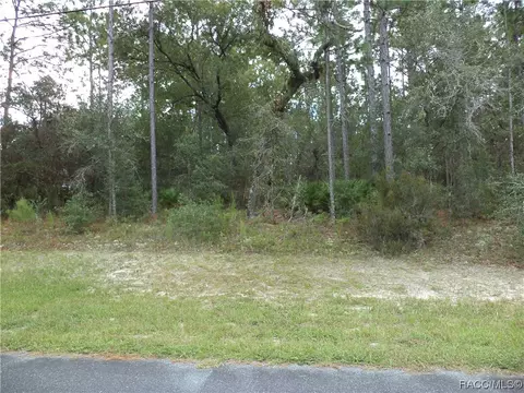 2326 W Begonia Dr, Beverly Hills, FL 34465