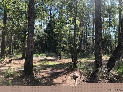 14251 SE 86 Ter, Inglis, FL 34449 photo 39