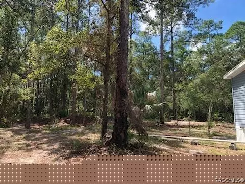 14251 SE 86 Ter, Inglis, FL 34449 photo 38