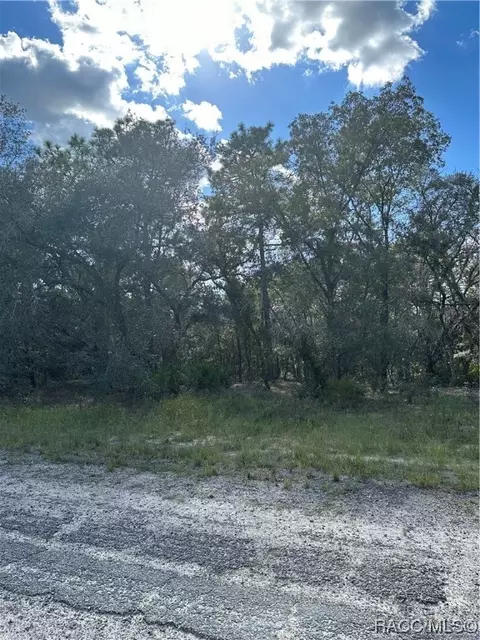 6558 Matheson Dr N, Citrus Springs, FL 34434