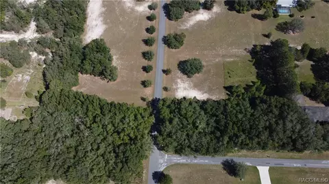 541 E Dunbar Ln, Hernando, FL 34442 photo 5