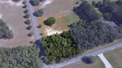 541 E Dunbar Ln, Hernando, FL 34442 photo 3