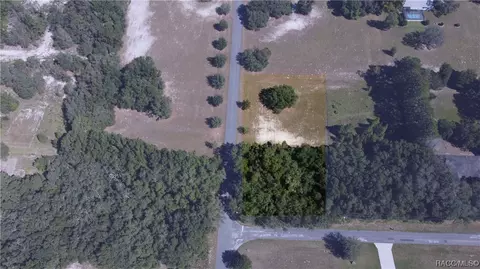 541 E Dunbar Ln, Hernando, FL 34442 photo 2