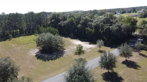 541 E Dunbar Ln, Hernando, FL 34442 photo 6
