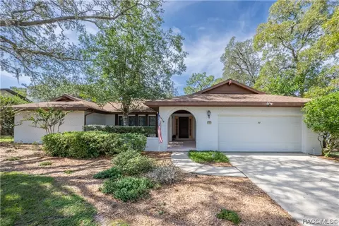 12 Graytwig Ct W, Homosassa, FL 34446