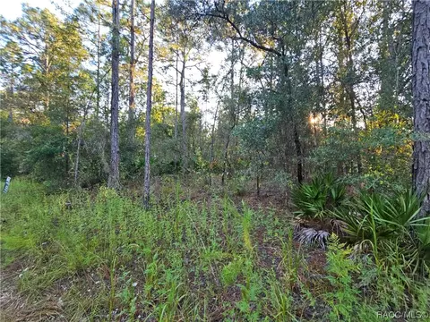 4868 N Sandpebble Pt, Crystal River, FL 34428