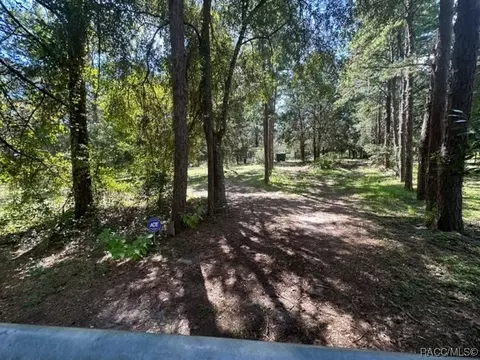 6720 N Dawson Dr, Hernando, FL 34442 photo 2