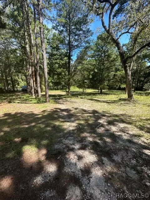 6720 N Dawson Dr, Hernando, FL 34442 photo 18