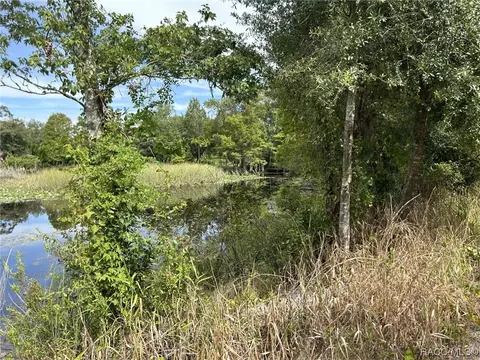 6314 N Palmetto Pt, Hernando, FL 34442 photo 10