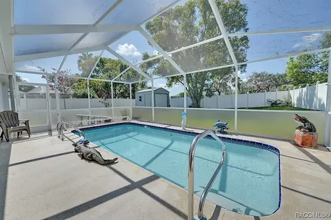 367 N Turkey Pine Loop, Lecanto, FL 34461 photo 41