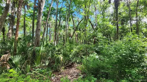10092 W Virginia St, Homosassa, FL 34448