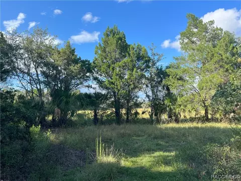 11895 W Timberlane Dr, Homosassa, FL 34448