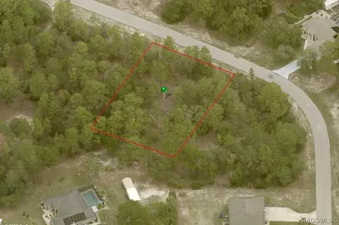 8486 N Ronda Dr, Citrus Springs, FL 34433