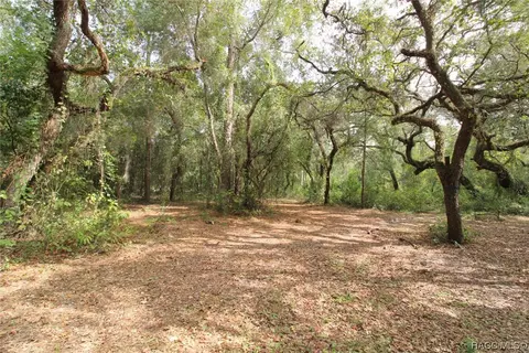 16551 Jetson Dr, Spring Hill, FL 34610 photo 3