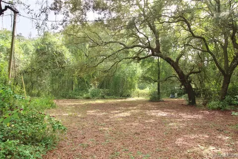 16551 Jetson Dr, Spring Hill, FL 34610 photo 4