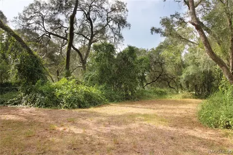 16551 Jetson Dr, Spring Hill, FL 34610 photo 5