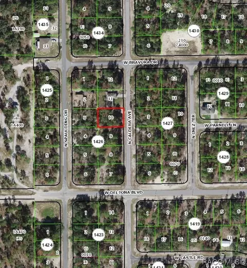 10568 N Caldera Ave, Citrus Springs, FL 34433