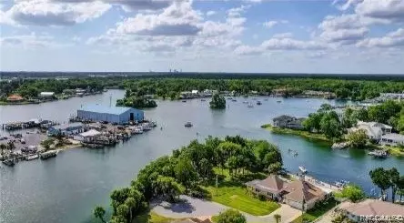 1007 NE 3rd Ave, Crystal River, FL 34428 photo 56