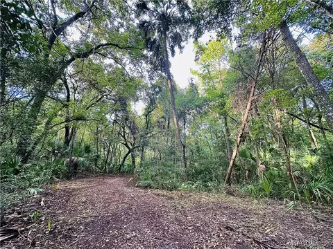 15101 W River Rd, Inglis, FL 34449 photo 8