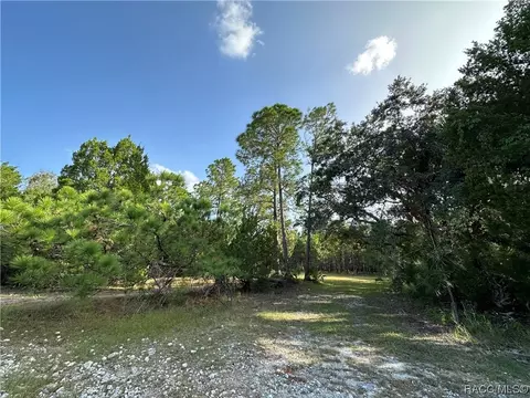 15101 W River Rd, Inglis, FL 34449 photo 7