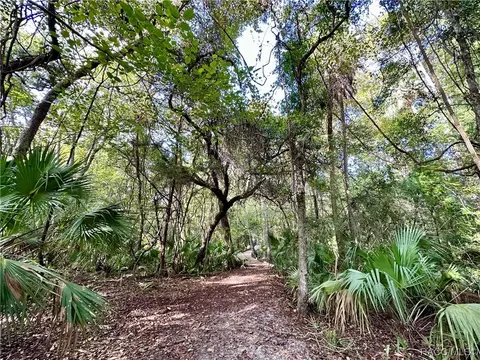 15101 W River Rd, Inglis, FL 34449 photo 11