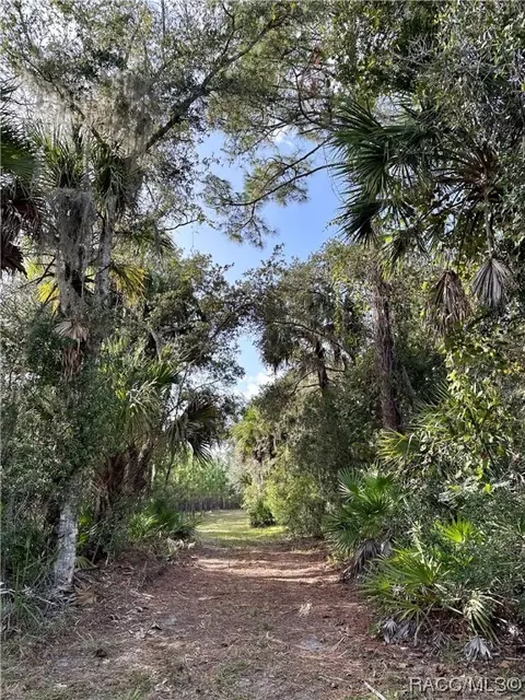 15101 W River Rd, Inglis, FL 34449 photo 12