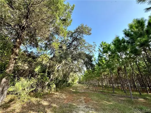 15101 W River Rd, Inglis, FL 34449 photo 9