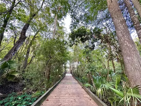 15101 W River Rd, Inglis, FL 34449 photo 4