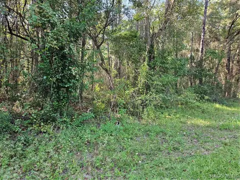 874 E Abend Dr, Citrus Springs, FL 34434