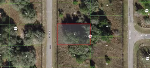7849 N Cedro Rd, Citrus Springs, FL 34434