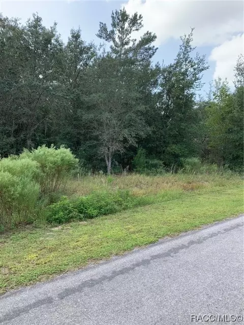 224 W National St, Hernando, FL 34442 photo 3