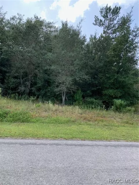 224 W National St, Hernando, FL 34442 photo 4
