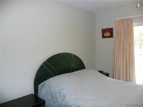455 W Olympia St, Hernando, FL 34442 photo 24