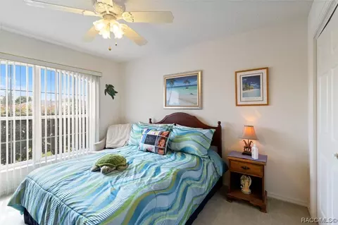 3793 E Kiwi Cove Ct, Hernando, FL 34442 photo 11