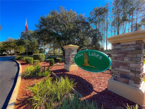 3793 E Kiwi Cove Ct, Hernando, FL 34442 photo 59