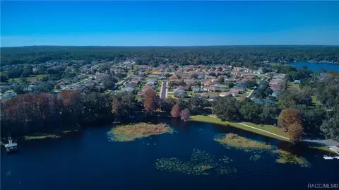 3793 E Kiwi Cove Ct, Hernando, FL 34442 photo 53