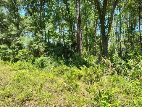 lot NE B Ne 66th Ct, Citra, FL 32113