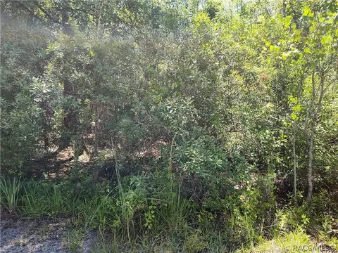 Lot A NE 66th Avenue, Citra, FL 32113
