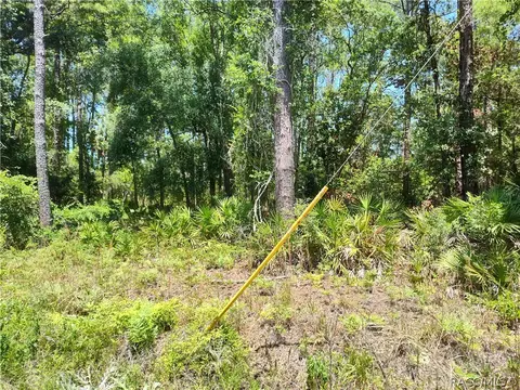lot NE A Ne 66th Ct, Citra, FL 32113