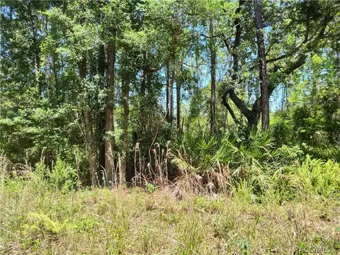 lot NE C Ne 66th Ct, Citra, FL 32113